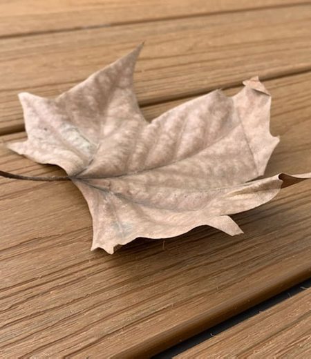 legno composito wpc per esterni decking wpc alveolare 03
