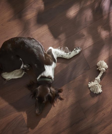 parquet noce americano plancia 12